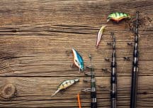 Types of rods – how to choose the right rod for the fishing method?