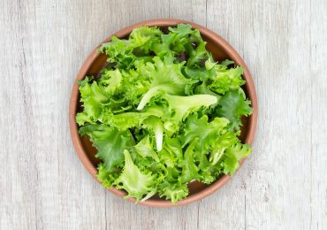 Lettuce - an unusual vegetable with... negative calories!