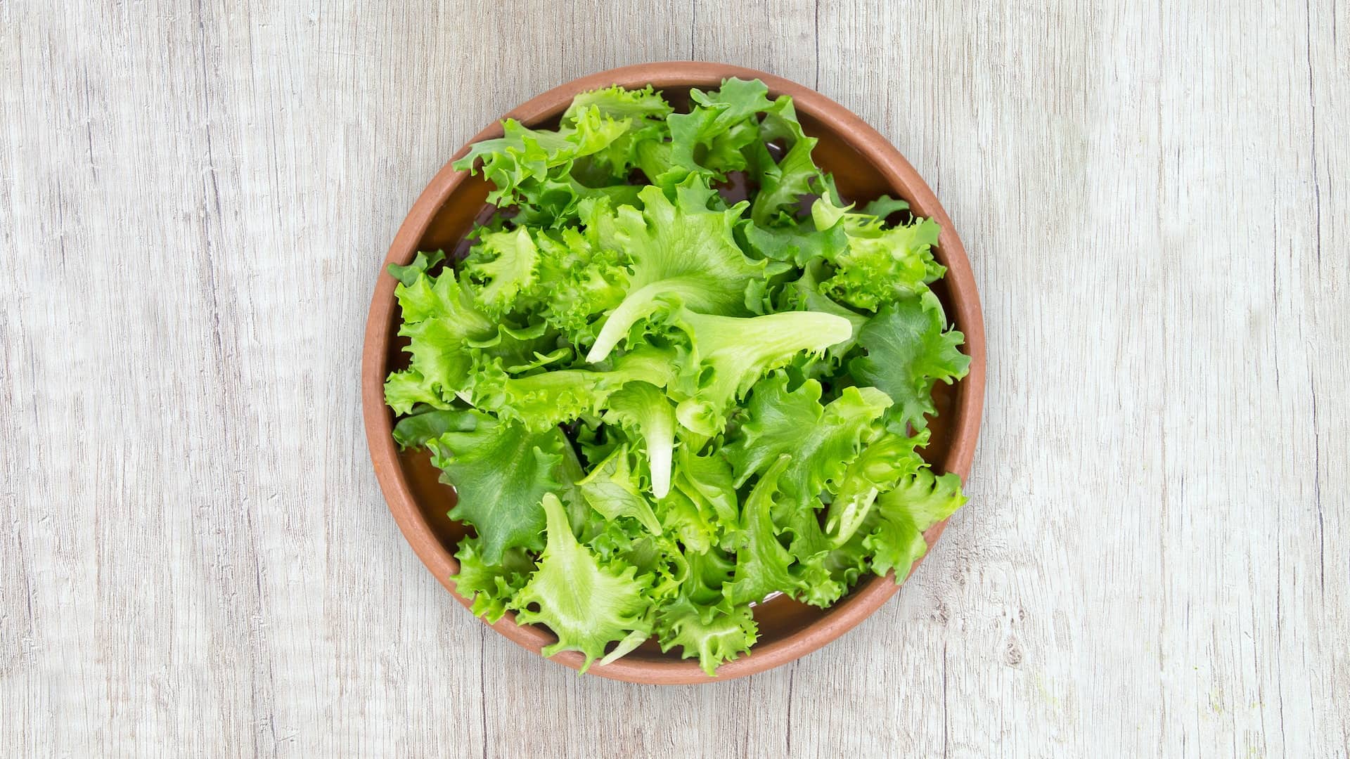 Lettuce – an unusual vegetable with… negative calories!